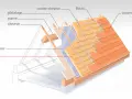 Coupe d'une toiture montrant la structure, le pare-vapeur et l'isolant pour une isolation thermique efficace.