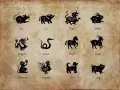 Chiński znak zodiaku 2007: Szczur, Wół, Tygrys, Królik, Smok, Wąż, Koń, Koza, Małpa, Kogut, Pies, Świnia.