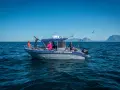 Fisketur i Nordnorge med båten "Lofoten Havfiske". Soligt och blåsigt, med berg i bakgrunden.