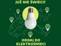 Gdzie wyrzucić żarówki? Segreguj dobrze, oszczędź 5000 zł!