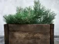 Jak stworzyć piękny stojak na choinkę DIY bez zbędnych kosztów