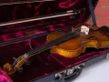 W aksamitnym futerale spoczywa skrzypce, być może najdroższy instrument świata, gotowe do wydobycia z siebie najpiękniejszych dźwięków.