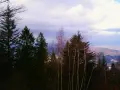 Widok z **Leskowca** na dolinę. W oddali widać zabudowania i pagórki. Na pierwszym planie drzewa iglaste i liściaste.