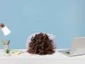 Testa affondata sulla scrivania, con un laptop aperto e post-it colorati. La sensazione è chiara: non voglio tornare a lavoro.