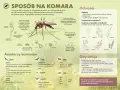 Domowe sposoby na komary: olejki eteryczne, czosnek, bazylia, goździki, mięta, tymianek, witamina B1. Rośliny odstraszające komary.