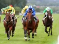 Des jockeys colorés en pleine course, un moment intense de la filière turf.