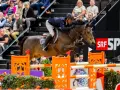 Un cavalier et son cheval, un donatello d'auge, franchissent un obstacle. Le public est en arrière-plan.