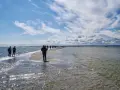 Spacer po piaszczystej mierzei w Kuźnicy, gdzie woda otacza z obu stron. To jedna z głównych atrakcji tego miejsca.