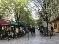 Spacerem w le Marais, Paryż, z kawiarniami i ludźmi spacerującymi pod drzewami.