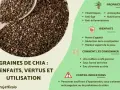 Graines de chia : leurs nombreux bienfaits pour la santé, comme la réduction de l'appétit et l'amélioration de la peau.