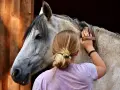 Une jeune femme brosse un cheval. L'image ne montre pas de maltraitance cheval.