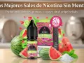 Botella de e-líquido Bombo Bar Juice Watermelon Max con 20 mg de nicotina, rodeada de sandía y menta. ¡20 mg de nicotina es mucho!