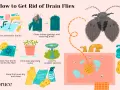 Learn how to get rid of drain flies by cleaning drains, garbage, and standing water. Keep your home dry and clean to prevent these pests.