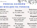 Podział zaimków ze względu na funkcję: osobowe, zwrotne, pytające, wskazujące, nieokreślone, przeczące, dzierżawcze, względne, upowszechniające.