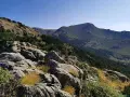 Rocas y vegetación en la ladera de la barranca, con un bosque de pinos y montañas al fondo bajo un cielo azul.
