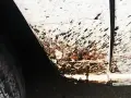 Skuteczne sposoby na usunięcie asfaltu z samochodu bez uszkodzeń