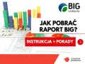 Wykresy i raporty BIG InfoMonitor. Dowiedz się, jak pobrać informację o zadłużeniu i uzyskać instrukcje oraz porady.