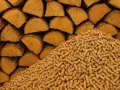Bûches de bois empilées à côté d'une montagne de granulés, deux formes de biomasse offrant un excellent pouvoir calorifique pour le chauffage.