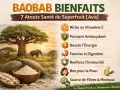 Poudre de baobab : découvrez ses nombreux bienfaits pour la santé, de la vitamine C à la digestion. Un superfruit aux atouts exceptionnels.