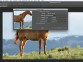 Photoshop DPI/PPI: Zmień rozdzielczość jak ekspert (bez strat!).