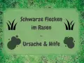 Schwarze Flecken im Rasen? Ursachen und Hilfe für einen gesunden Rasen.