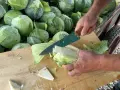 Ile dni kisi się kapusta? Sprawdź, jak uzyskać idealną kiszonkę