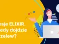 Kiedy przelew w mBanku? Harmonogram Elixir, BLIK i Express Elixir