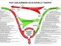 Diagram przedstawia koło zmiany w uzależnieniu od alkoholu, od fazy ostrzegawczej do trzeźwienia i rehabilitacji.