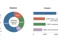 Kirchenmitglieder Statistik: Kreisdiagramm zeigt 347.461 Mitglieder, Balkendiagramm zeigt Gruppen.