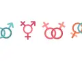 Symbole für verschiedene Geschlechter: zwei Männer, Transgender, zwei Frauen, Mann und Frau. Die Frage, wie viele Geschlechter es gibt, wird hier visuell angedeutet.