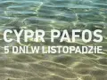 Czysta woda na Cyprze w Pafos, idealna pogoda w listopadzie na 5 dni.