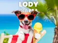 Bezpieczne lody dla psa: Przepisy, składniki i czego unikać