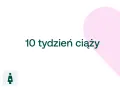 10 tydzień ciąży. Mały brzuszek, serce i ikony D+ oraz kobiety w ciąży.