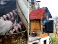 Wędzarnia ogrodowa: Jak wybrać i zbudować idealną? Poradnik eksperta