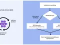 Diagramm zeigt den Weg zur Azure Kubernetes Service (AKS) Einführung, von der Workshop-Planung bis zu AKS Automatic oder AKS Baseline Cluster.