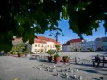 Rynek w Darłowie z kolorowymi kamienicami i gołębiami. Idealne miejsce na spacer i odkrywanie darłowskich atrakcji.
