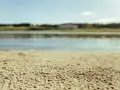 Primo piano della sabbia di fiume, con un fiume e alberi sfocati sullo sfondo.