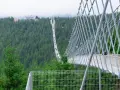 Spacerem po najdłuższym moście wiszącym w Polsce, otoczonym gęstym lasem świerkowym. Widok zapiera dech w piersiach!