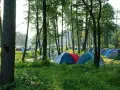 Kolorowe namioty rozstawione na trawie tworzą malownicze pole namiotowe w Świętokrzyskiem, otoczone zielenią i drzewami.