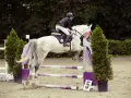 Un cavalier et un jeune cheval blanc sautent un obstacle lors d'une compétition équestre.