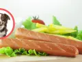 Pies w okręgu obok parówek i frytek.
