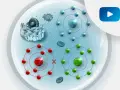 Komórka z organellami i atomami. Czerwone atomy symbolizują stres oksydacyjny, zielone i niebieskie zdrowe.
