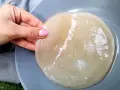 Gdzie kupić grzybek kombuchy (SCOBY)? Sprawdzone miejsca i ceny