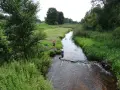 Dwóch mężczyzn w kąpielówkach pluska się w rzece, czując się jak u pana boga w ogródku. Otacza ich bujna zieleń i spokój natury.