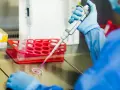 Naukowczyni w niebieskim fartuchu pobiera pipetą próbkę, która może być cenną **krwią pępowinową**, do dalszych badań laboratoryjnych.