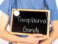 Toksoplazmoza objawy psychiczne: niebezpieczne skutki dla zdrowia