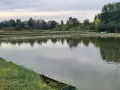 Spokojne łowiska komercyjne na Dolnym Śląsku, otoczone zielenią i drzewami, zapraszają na relaks nad wodą.