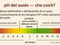 Grafico che illustra come misurare il pH del terreno, mostrando la scala da acido ad alcalino e il pH ideale per le piante.