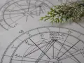 Dwa kosmogramy astrologii wedyjskiej leżą obok siebie, ozdobione gałązką iglastą.