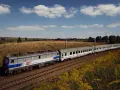 TLK co to za pociąg? Poznaj ich zalety i różnice w usługach
